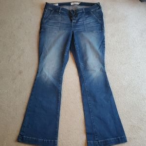 Torrid Flare Jeans Tall